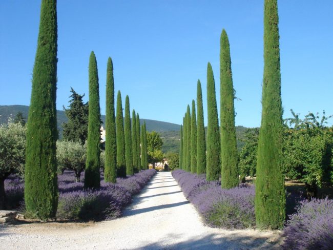 Le Lubéron : la perle de la Provence