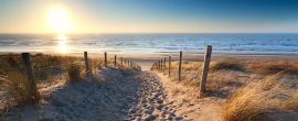 les-landes