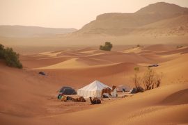 trek-sahara-sauvage-min