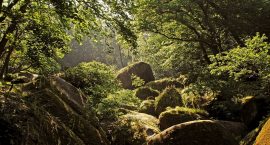 finistere