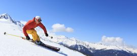 skier
