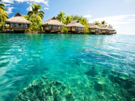 polynesie