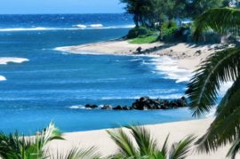 ÎLE DE LA RÉUNION