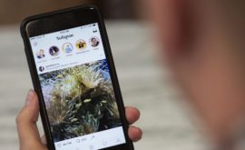 instagram